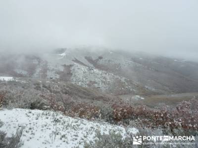 Hayedo de Pedrosa - Parque Natural Sierra Norte de Guadalajara - Hayedo de Tejera Negra